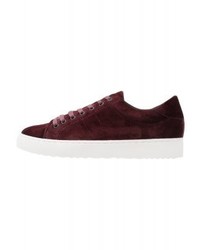 Baskets basses bordeaux Anna Field