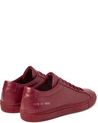 Baskets basses bordeaux Common Projects