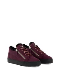 Baskets basses en daim pourpre foncé Giuseppe Zanotti