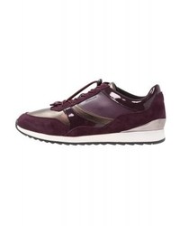 Baskets basses pourpre foncé Geox