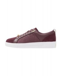 Baskets basses pourpre foncé Ted Baker