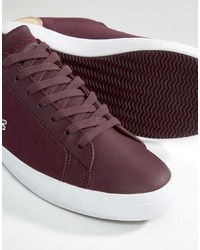 Baskets bordeaux Lacoste