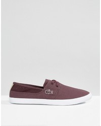 Baskets bordeaux Lacoste