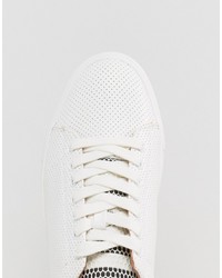 Baskets en daim blanches Steve Madden