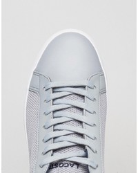 Baskets grises Lacoste