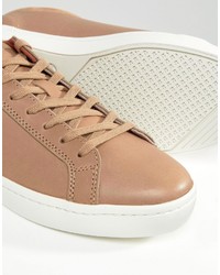 Baskets marron clair Lacoste