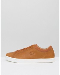 Baskets marron clair Lacoste