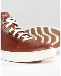 Baskets marron Timberland