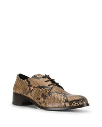 Chaussures derby en cuir imprimées serpent marron clair N°21