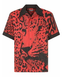 Chemise à manches courtes imprimée léopard rouge Dolce & Gabbana