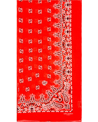 Écharpe en soie imprimée rouge Saint Laurent