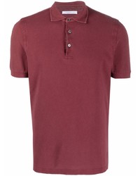 Polo bordeaux Cenere Gb