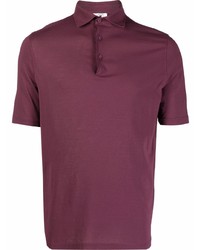 Polo bordeaux Kired