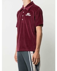 Polo bordeaux Lacoste