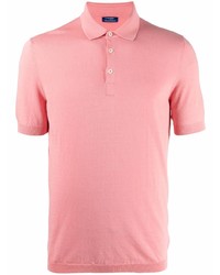 Polo rose Barba