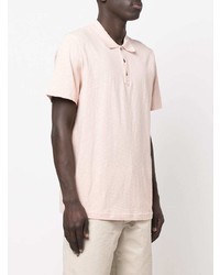 Polo rose Theory