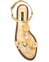 Sandales en cuir dorées Dolce & Gabbana