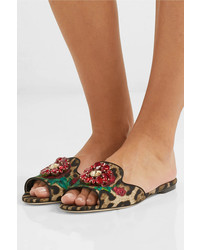 Sandales plates en daim imprimées léopard marron clair Dolce & Gabbana