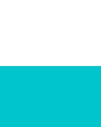 Short de running turquoise