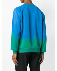 Sweat-shirt imprimé turquoise Cottweiler