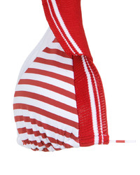 Top de bikini à rayures horizontales rouge Amir Slama